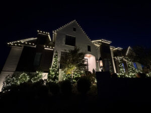 Holiday Lighting Installation And Decoration Services in Franklin TN