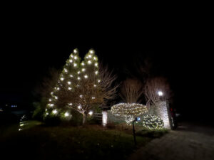 Tree And Gate Holiday Lighting Installation in Thompsons Station Tennessee